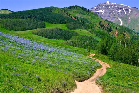 crested butte colorado hiking trails.